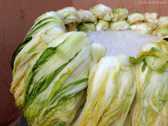 cabbages to dry