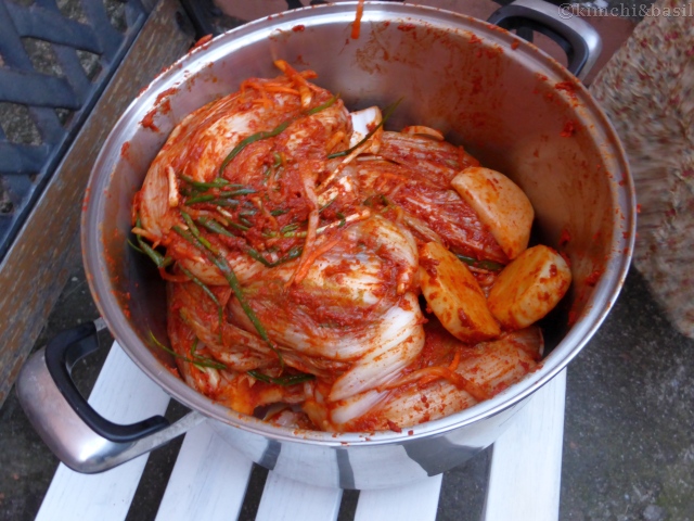 kimchi finshed